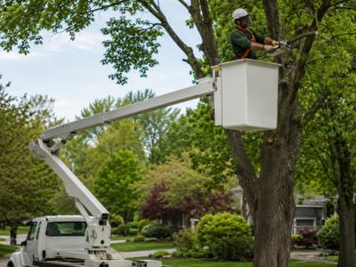 Bucket truck positioned on a residential street for a trimming job