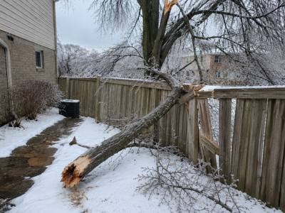Storm-broken tree down across a backyard fence after an ice storm