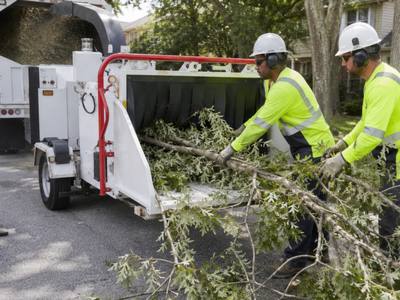 Crew feeding brush into a chipper and clearing a site